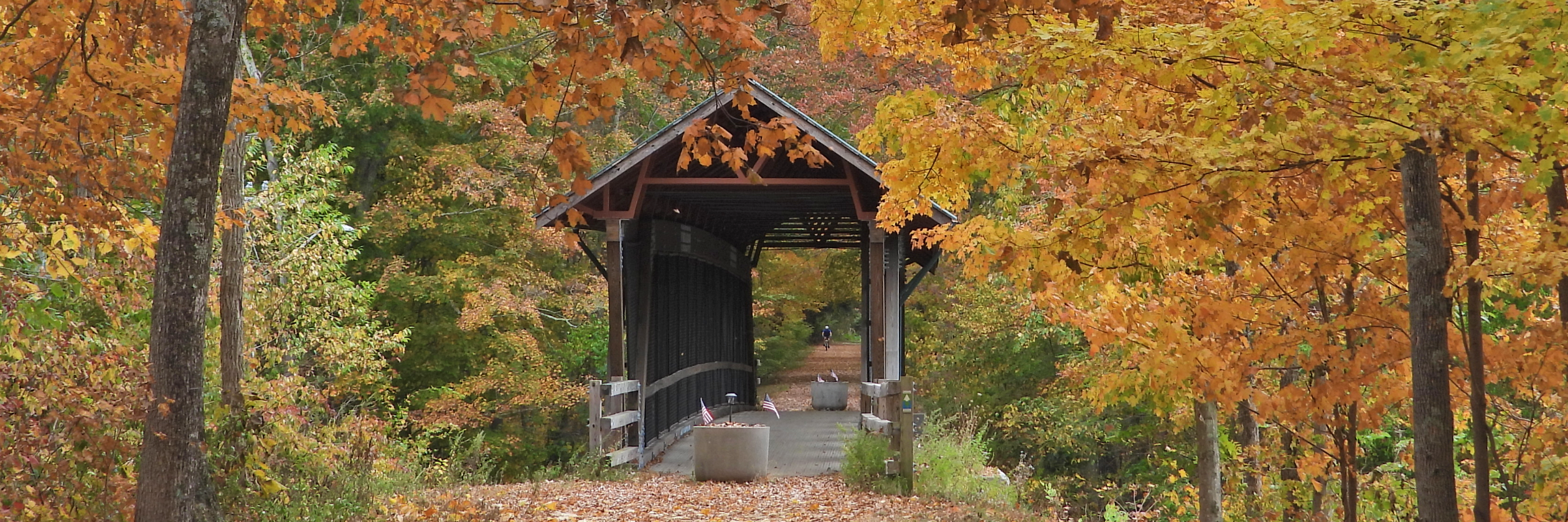 Photo of covered bridge in fall