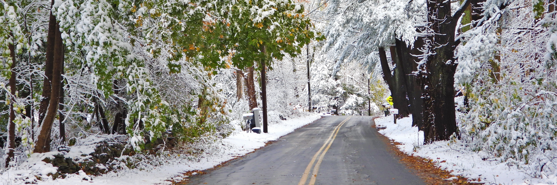 Photo of snow on fall leaves