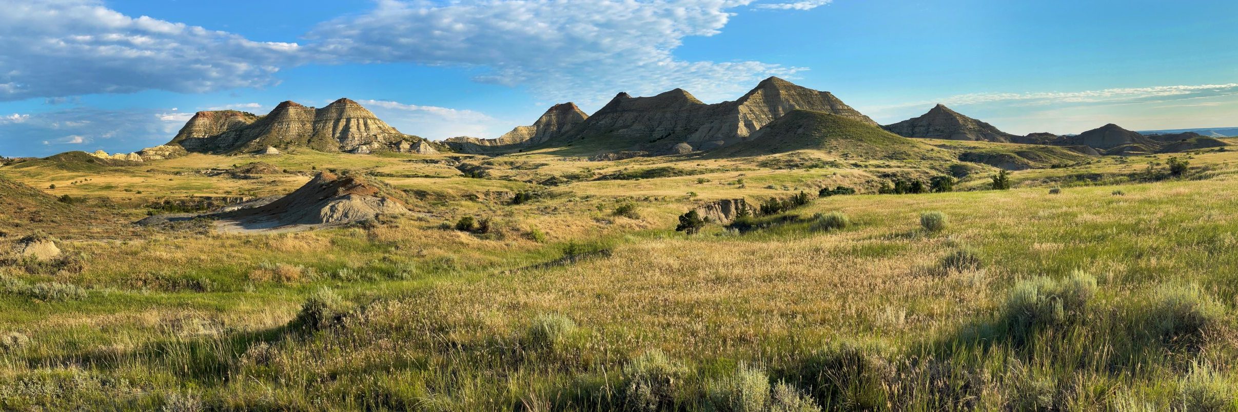 Eastern Montana Prairie